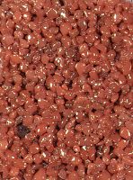 korallenrot